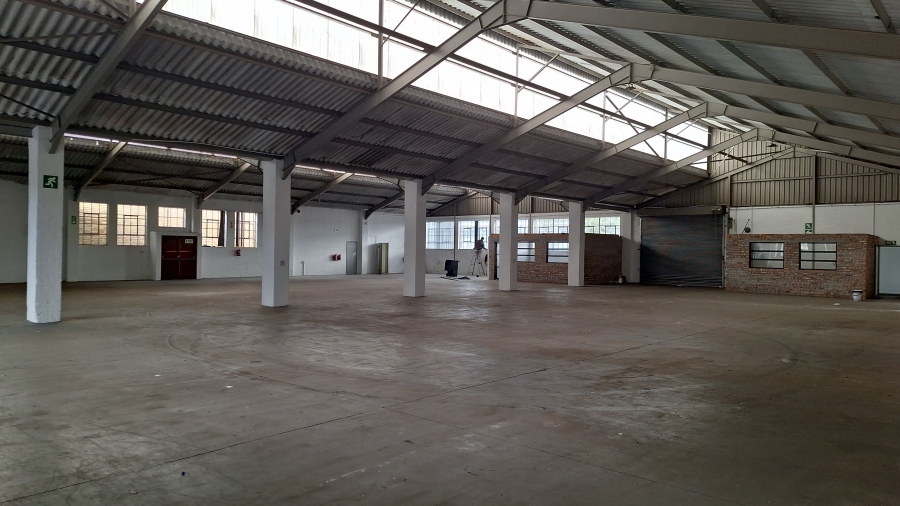 To Let Commercial Property for Rent in Ottery Western Cape